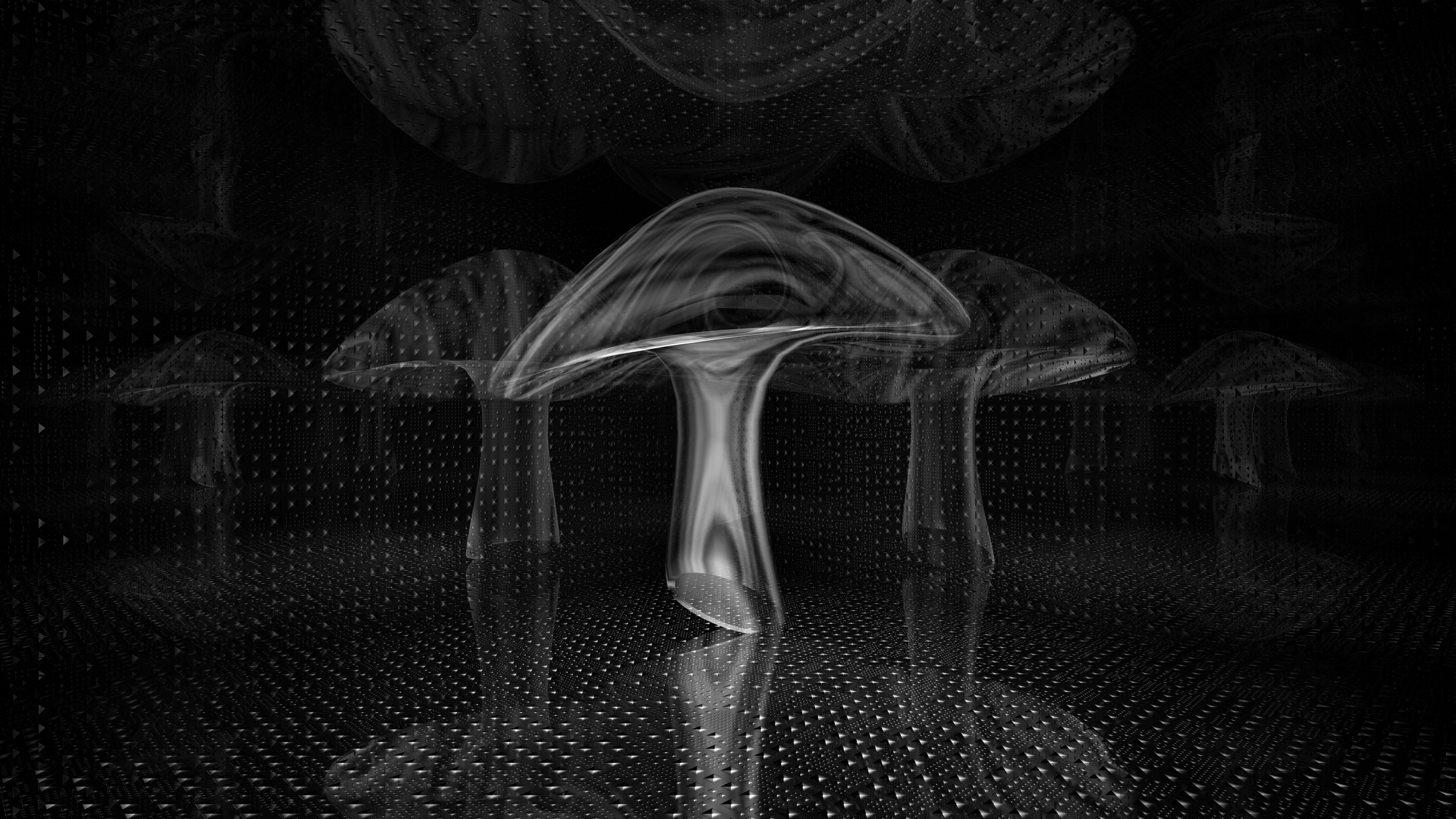 fractal mushroom 4k psyhchedelic wallpapers