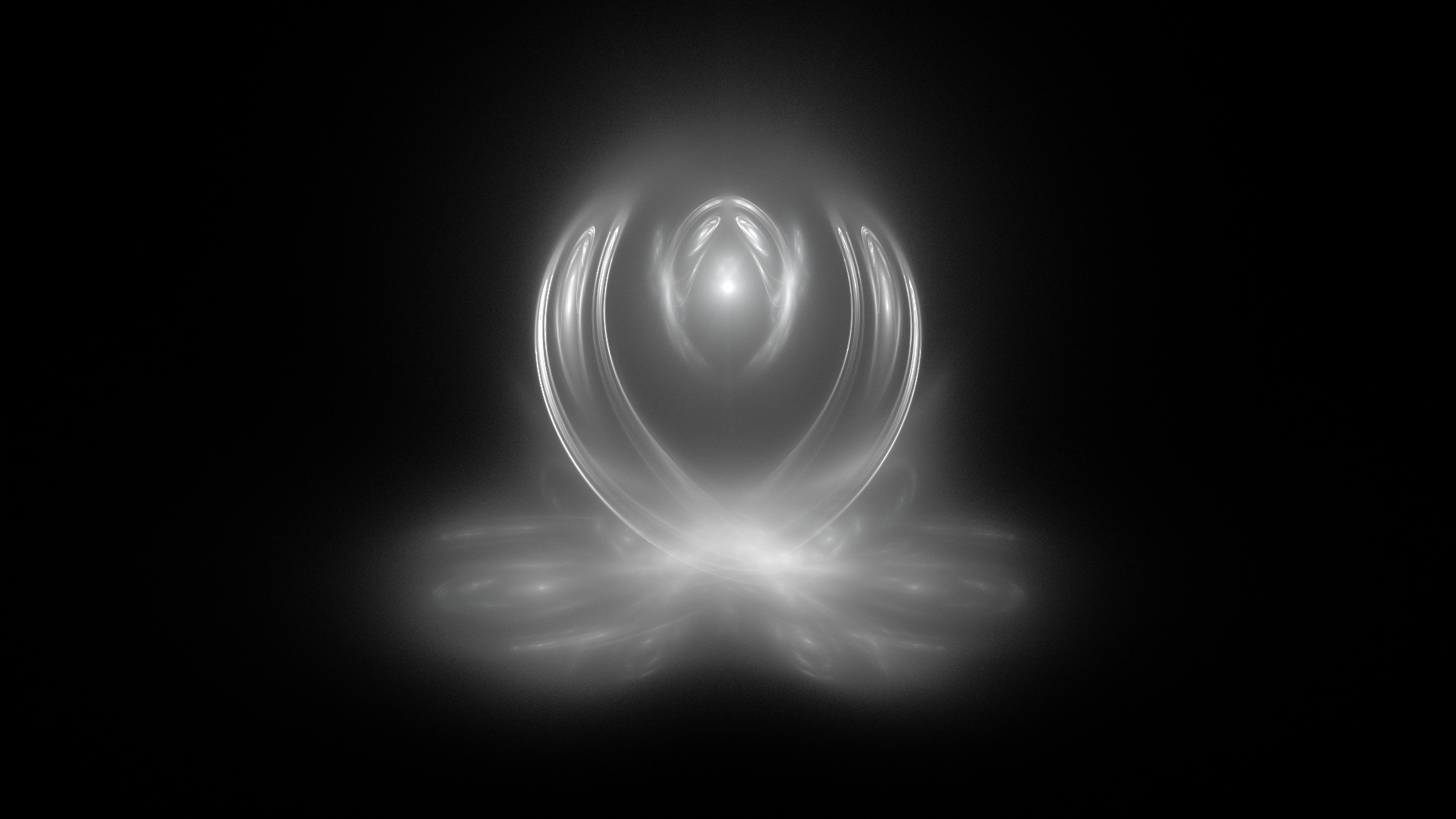 white lotus 4k fractal video wallpaper